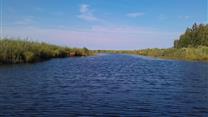 64 земельных участка под усадьбы по 1 гектару